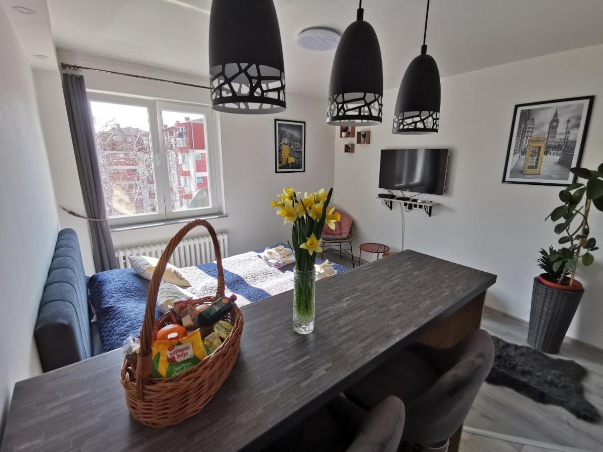 Cozy Cik-cak Apartment Doboj